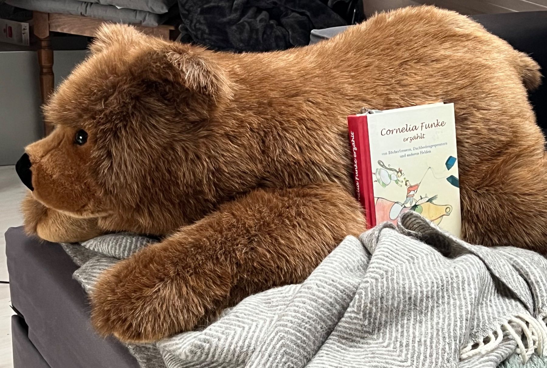 Steiff Giocattoli: Seppetoni Riesenbär Steiff – Nuovo (secondo la descrizione) da Zürich venduto da Girasole232 2
