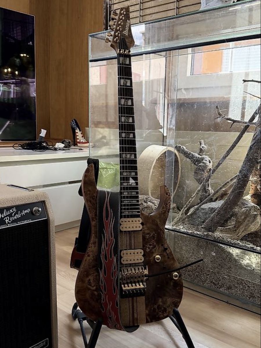 Ibanez Strumenti musicali: Ibanez RGT1220PB E-Gitarre – Nuovo (secondo la descrizione) da Mols venduto da fis_gh2r