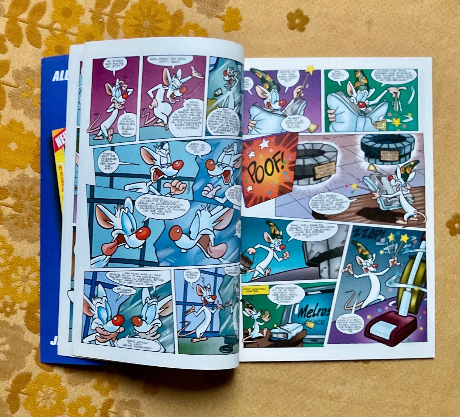 Fumetti: Pinky und Brain Heft Nr 10 von 1999 – Usato da Endingen venduto da nathan05 2