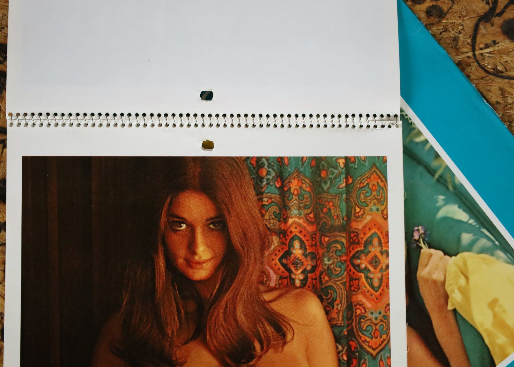 Playboy Calendari: PLAYBOY Kalender 1971 – Usato da Birrwil venduto da brandschatz_birrwil 4