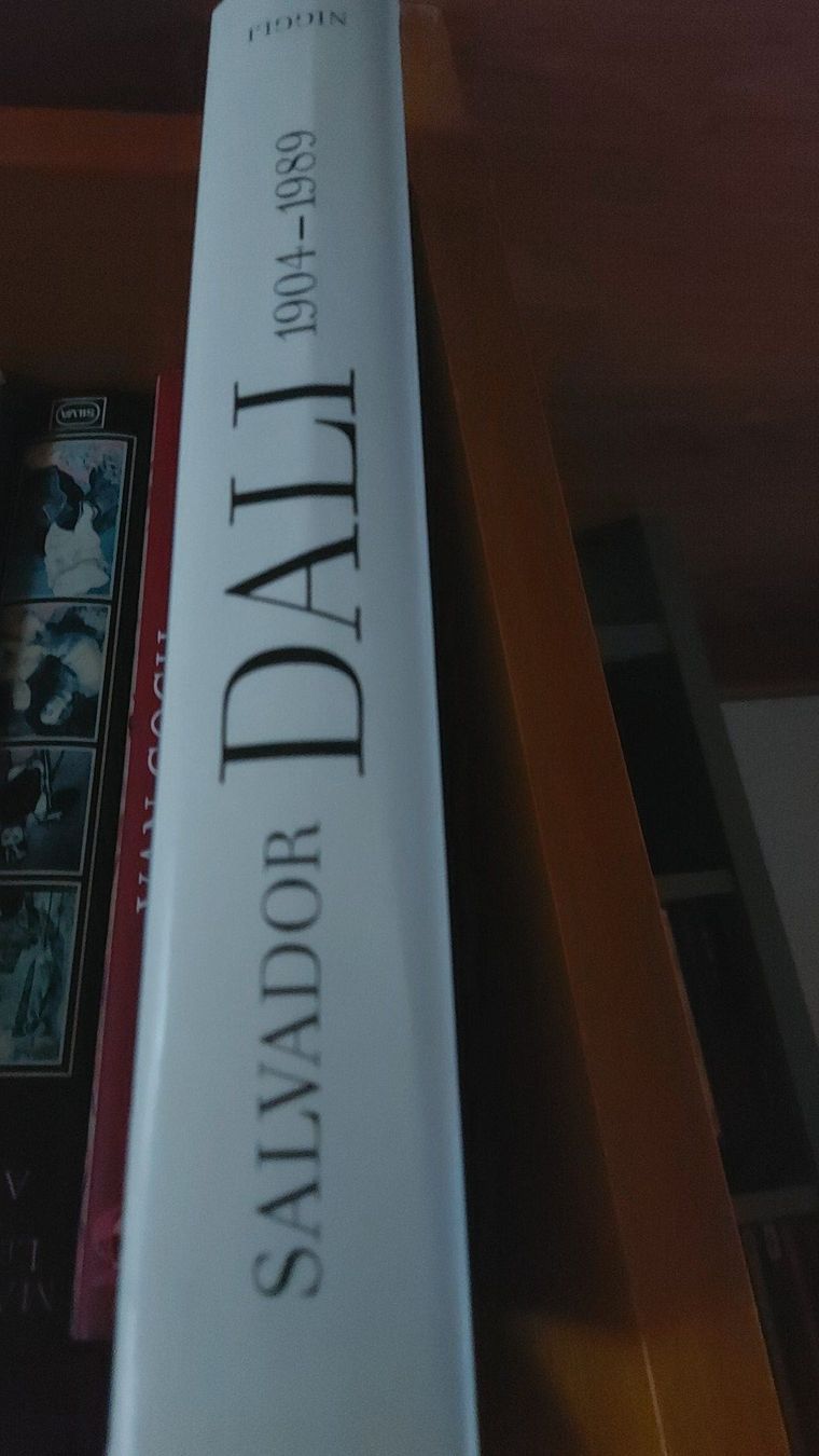 Libri: Salvador Dali Bildband / Kunstbuch – Usato da St. Peterzell venduto da Saheti 1