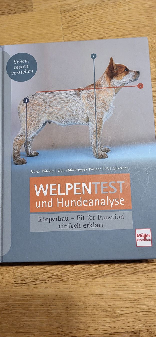 Libri: Welpentest und Hundeanalyse Buch Körperbau Fit for Function – Nuovo (secondo la descrizione) da oberuzwil venduto da Dogstyle