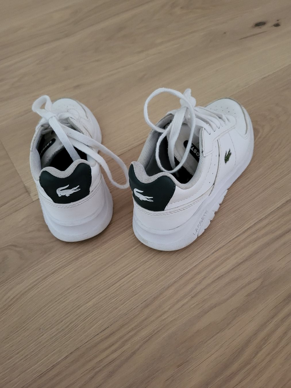 Lacoste Scarpe per ragazzi: Sneaker Lacoste – Usato da Wittenbach venduto da pambob 1