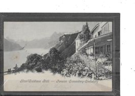 UR Seelisberg 1902 Hotel&Pension Waldhaus (Schiffs-Stempel)