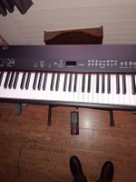 Yamaha Digital Piano, Top Zustand, ideal für Anfänger!