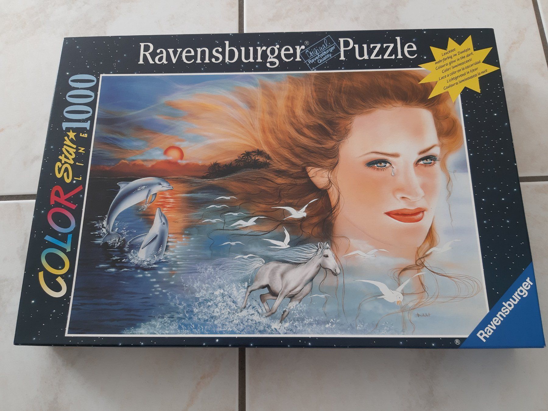 Ravensburger Puzzles: Puzzle 1000 Teile Ravensburger – Gebraucht aus Schmitten von Renistern68