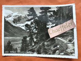 1957 1044 Rosegtal.  Arvenwald u. Piz Roseg