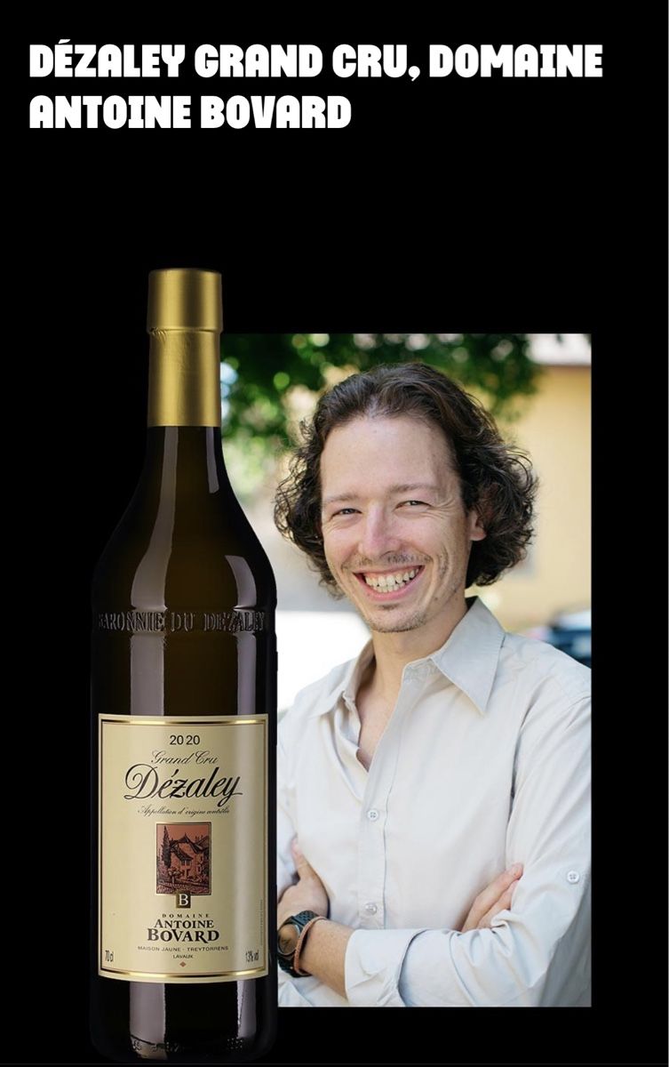 Vino: Caisse La Baronnie du Dézaley 2020 – Nuovo e nell'imballaggio originale da Lausanne venduto da babacard10 4