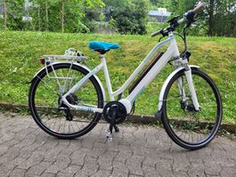 Allegro Discovery E-Bike (250W, 25 km/h) Frühlings-Deal