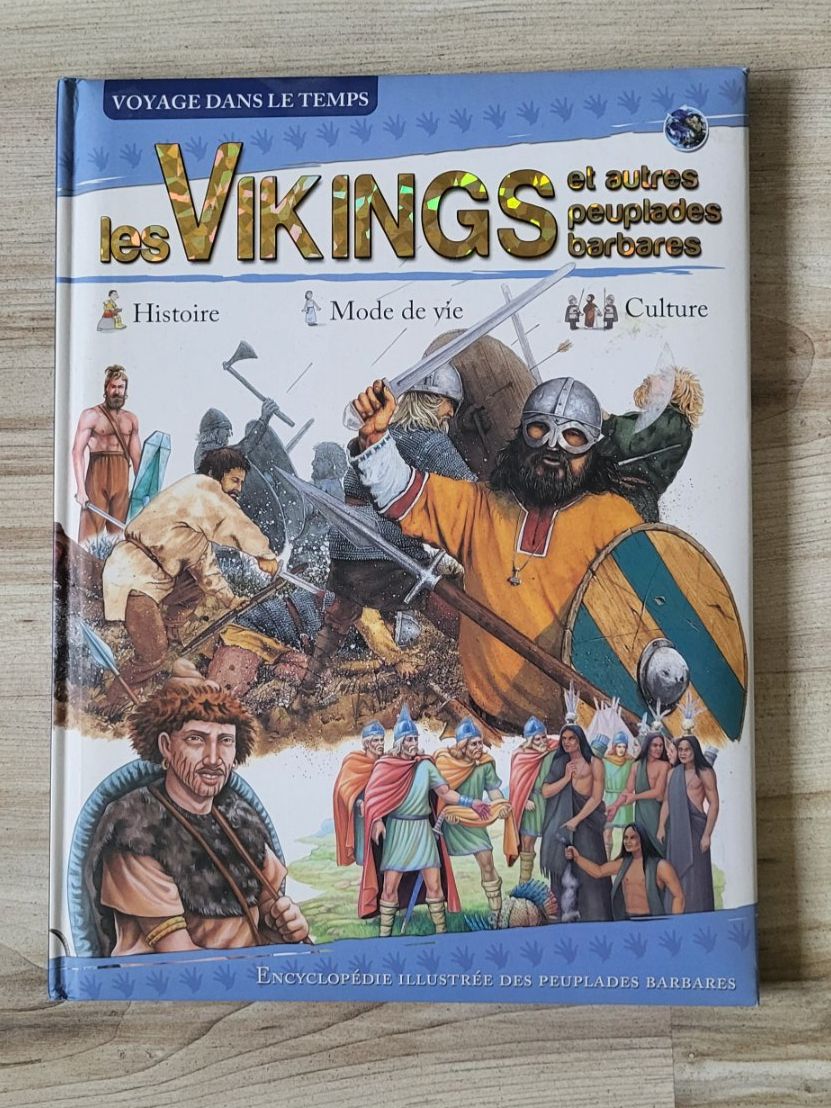 Libri: Livre illustré - Les Vikings – Usato da Sembrancher venduto da Jbc71