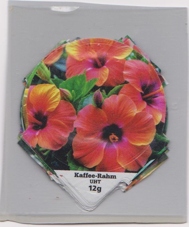 Coperchi dei cremini per caffè: KRD Serie 6409 Riegel Exotische Blüten – Usato da Tentlingen venduto da Patrick782