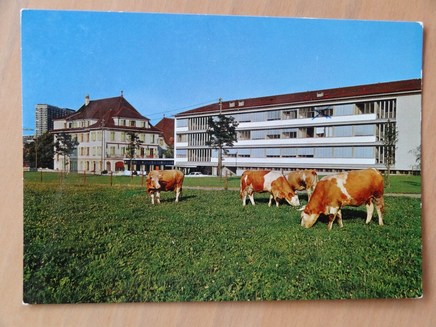 Ansichtskarten: Onex - Genève - Maison de Loëx – Gebraucht aus St Léonard von Riglin