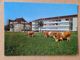Onex - Genève - Maison de Loëx