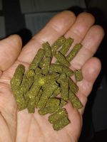 Morsam Pellets als Ergänzungsernährung für Pferde