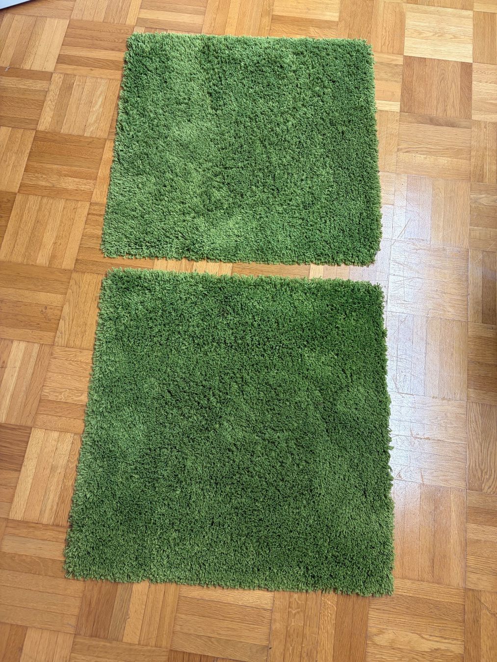 Tapis: Hochflorteppiche grün – D'occasion à Freidorf TG par ibipatria