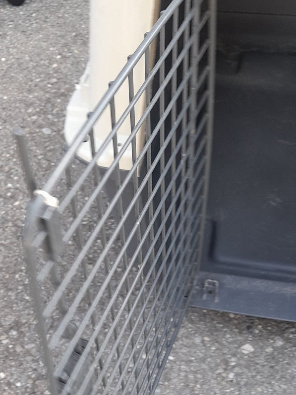 Gabbie, trasporto & Sicurezza: Hunde Transportbox 80 x 55  H = 60 – Usato da Aeschi b.Spiez venduto da 52_wochen 6
