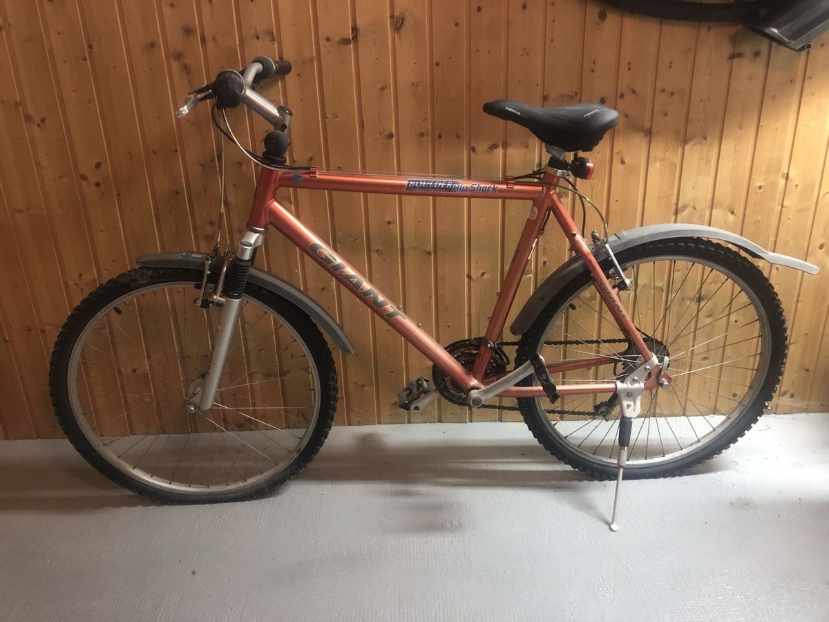 Giant Biciclette: Fahrrad – Usato da Oberwil BL venduto da HappyWifeHappyLife 1