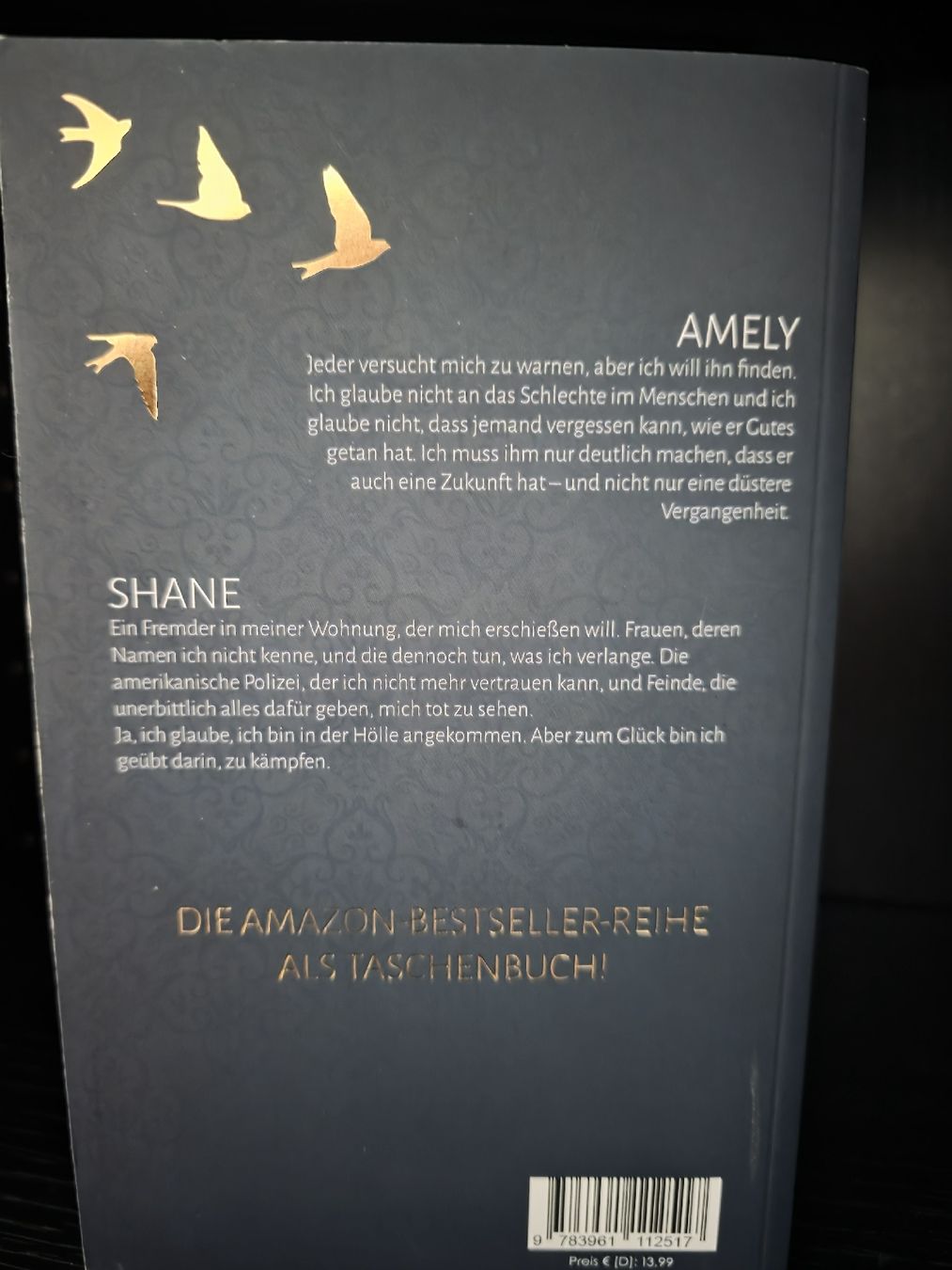 Libri: J.S Wonda Fallen Reihe Dark Romance – Usato da Tägerwilen venduto da XeniaH 2