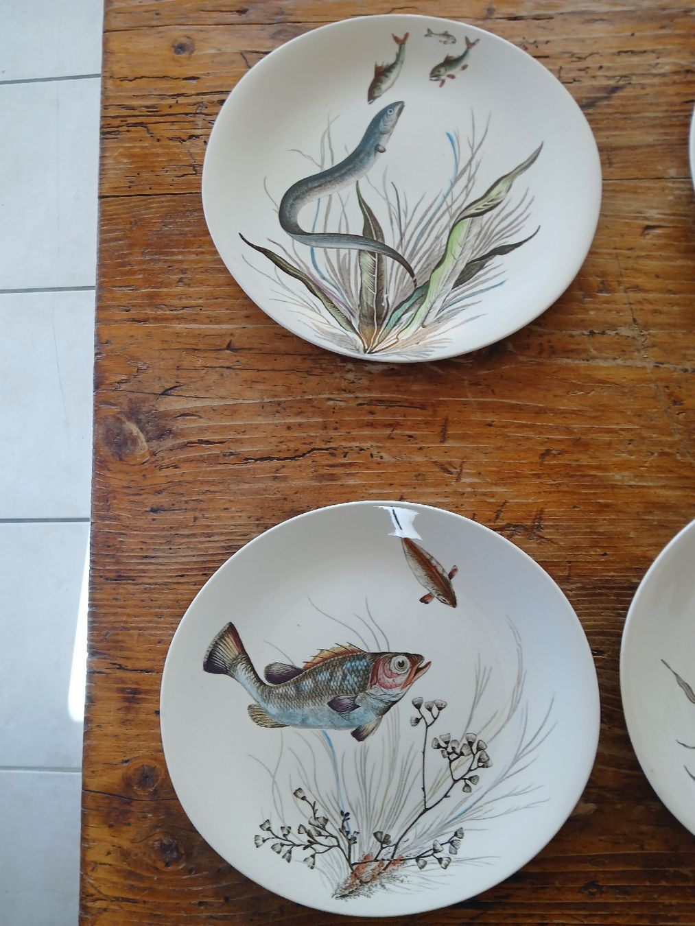 Geschirrsets: Service de table Johnson Bros  vintage décor poissons – Gebraucht aus Corcelles-Payerne von evalyne 1