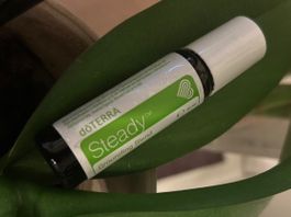 DoTerra Steady 10 ml OVP aus Kids Collection