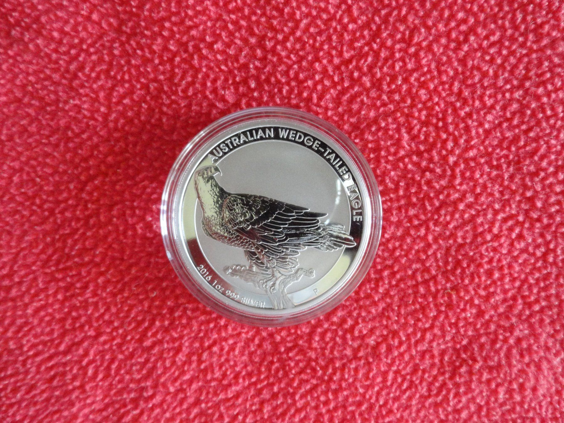 Tutti le monete: Silbermünze Wedge-Tailed Eagle 2016 - 1 Unze – Nuovo (secondo la descrizione) da Gerlafingen venduto da Shiva_74