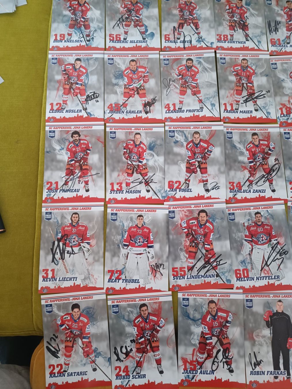 Autografi: 30x Rapperswil-Lakers 2017/2018 - handsigniert – Usato da Menziken venduto da Artographs 1