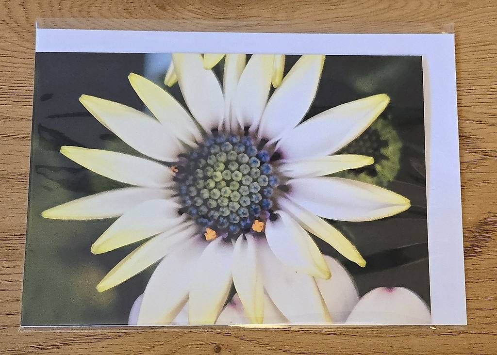 Cartes: Doppel Karte A5 NEU – D'occasion à Chur par Frei3912 1