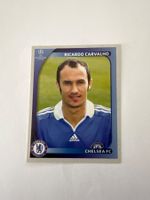 Panini UEFA Champions League 2008-2009 - Nr. 233