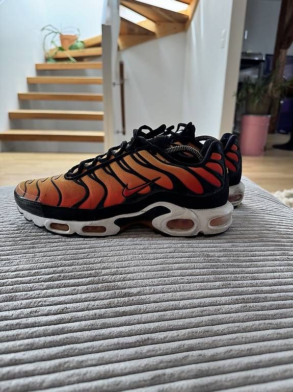 Scarpe da uomo: AIR MAX PLUS 'SUNSET' TN US10.5 – Usato da Zürich venduto da oli_lk9l