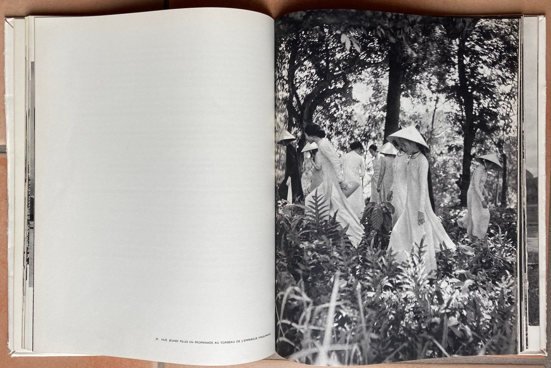 Libri: Viet Nam - 1951 – Usato da Versoix venduto da Decapod 8