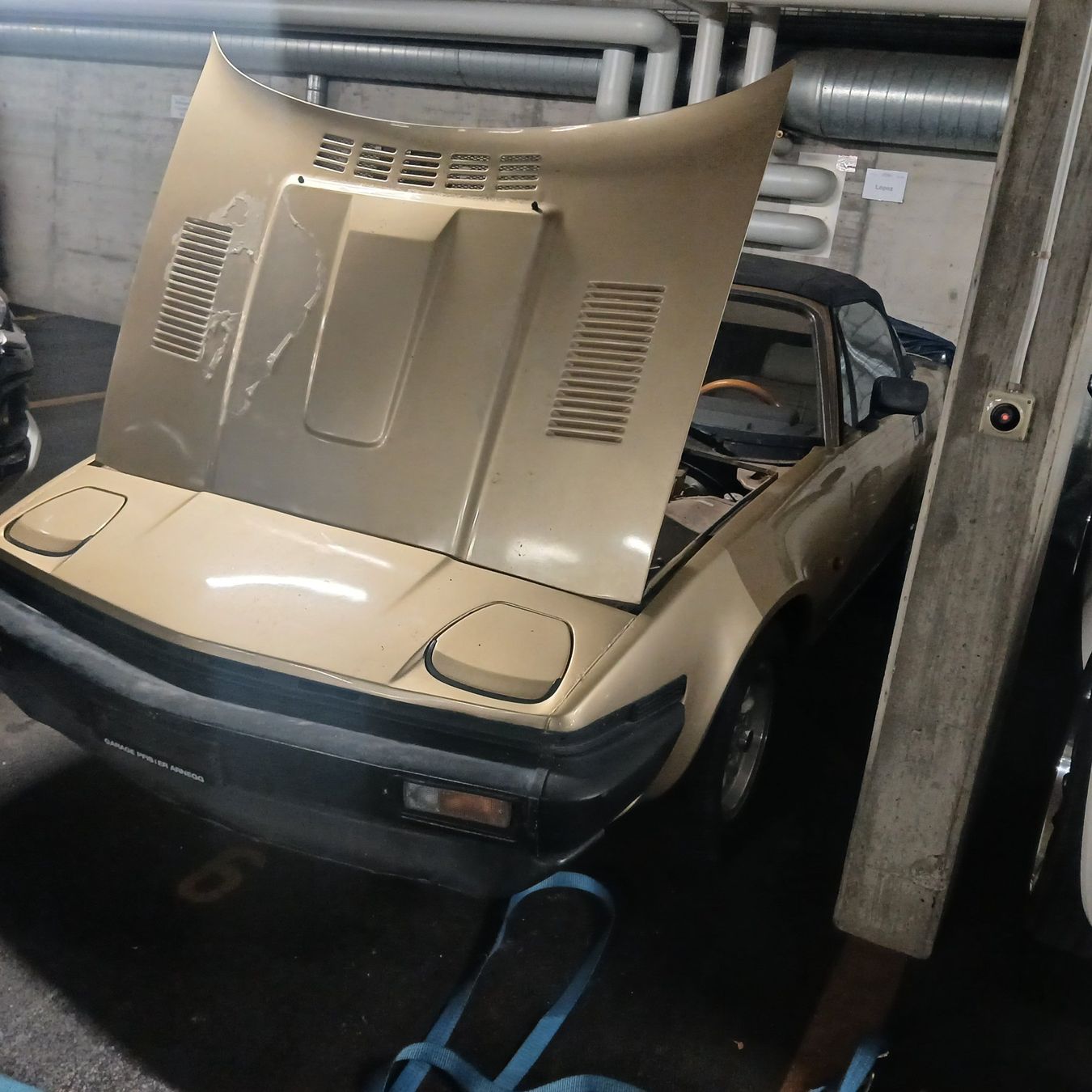 Triumph Automobili: Oldtimer Triumph TR7 JG. 1981 Cabriolet – Usato da Balsthal venduto da redcarpet 7