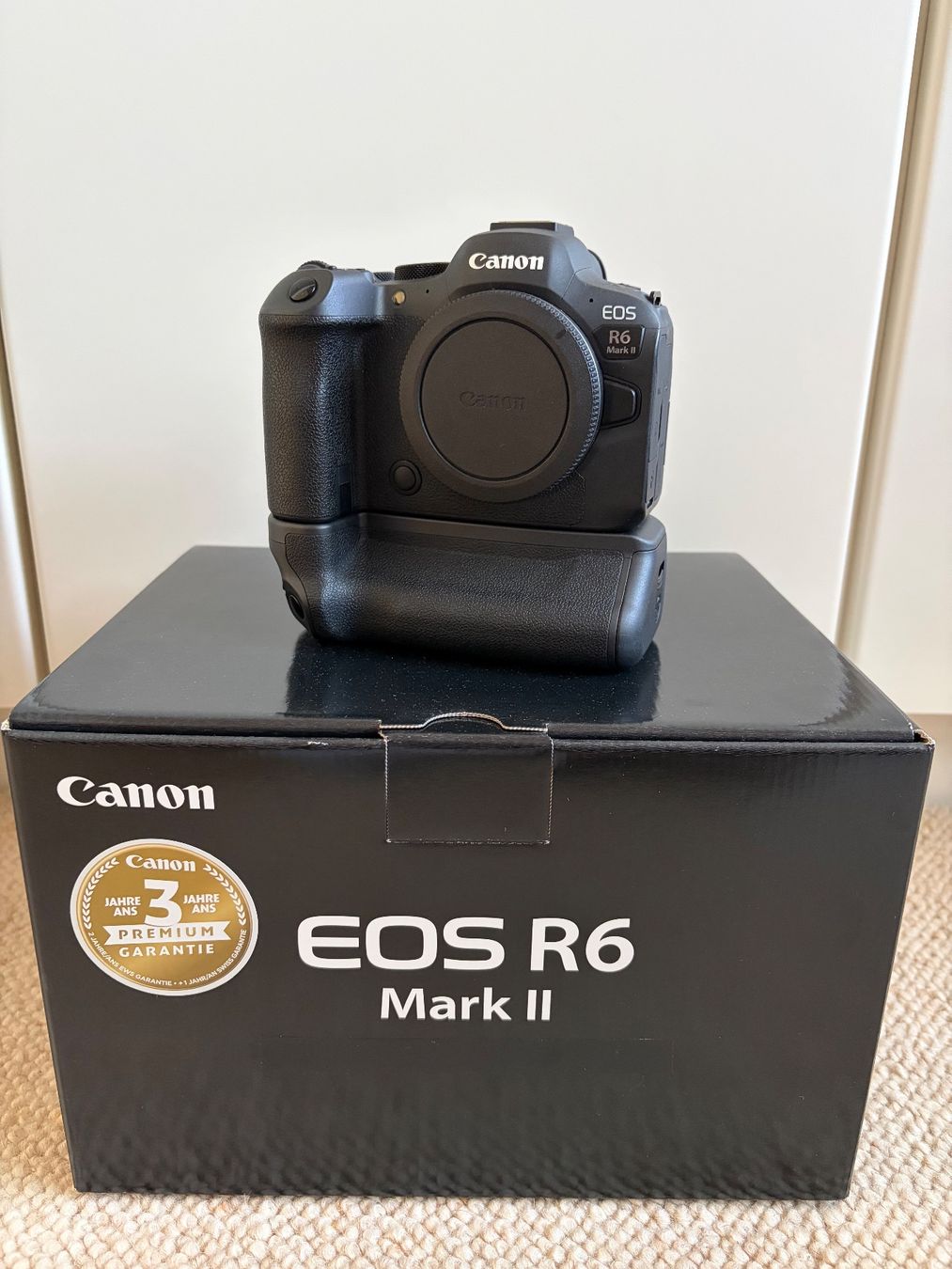 Canon Kamera: Canon R6 MarkII – Gebraucht aus Stansstad von Mimon83