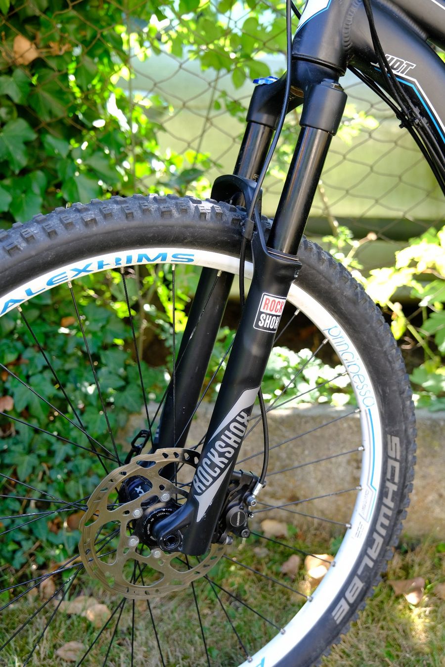 Canyon Biciclette: Canyon swiss Mountainbike – Usato da Köniz venduto da mowildhaber 2
