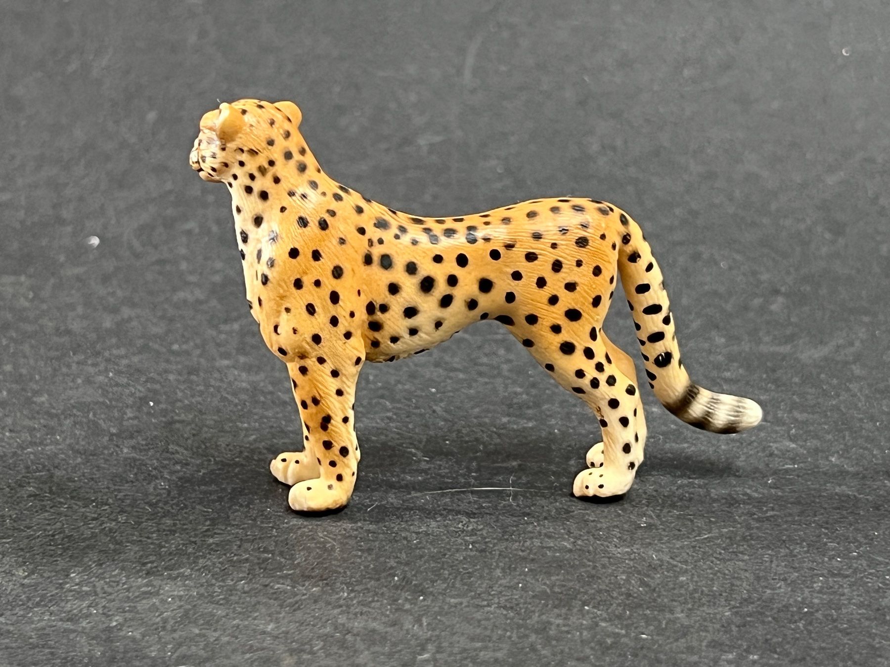 Schleich Statuette: Schleich Gepard mit Jungem – Usato da Ennetbaden venduto da mapa05 6