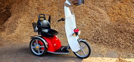 3 Rad Elektro Rollstuhl 6/20  Km/h