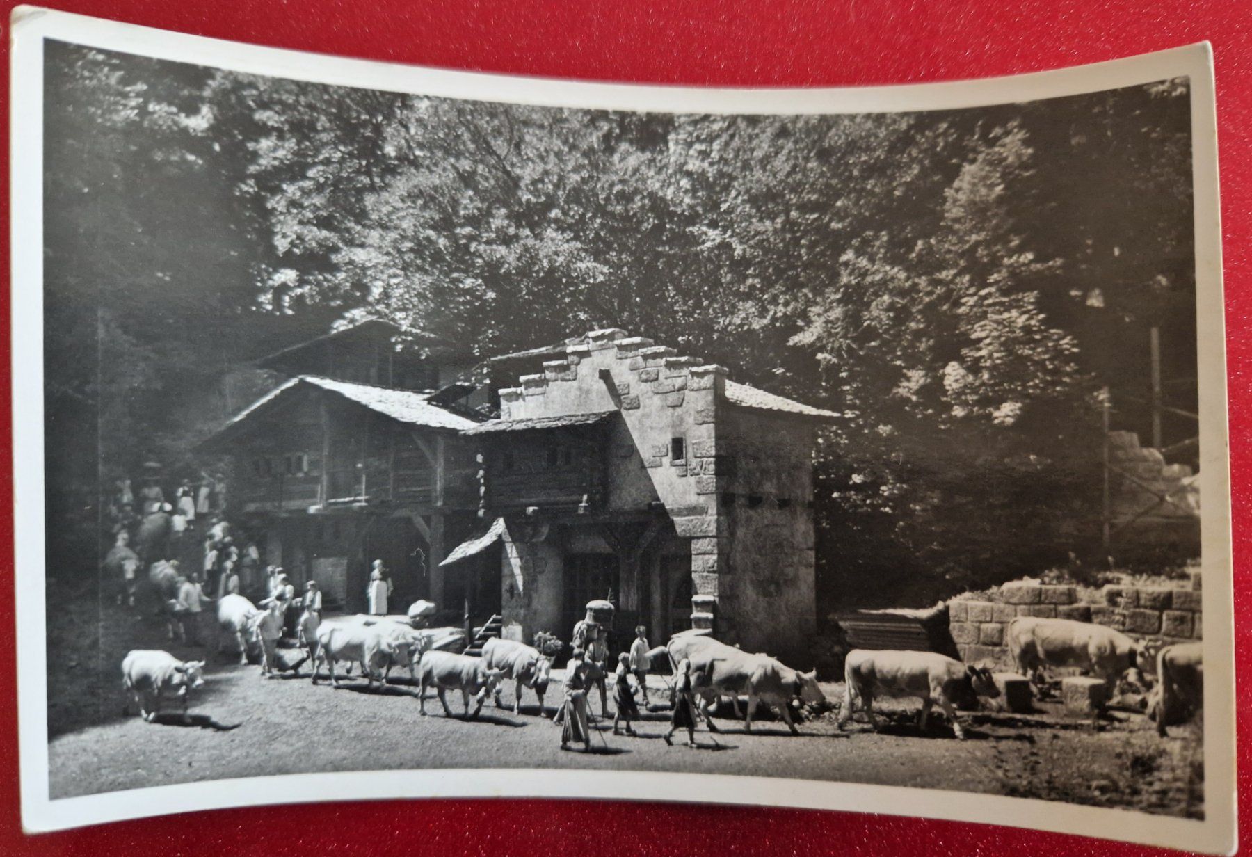 Ansichtskarten: Tell Freilichtspiele Interlaken - Alpabzug TOP – Neu (gemäss Beschreibung) aus Melchnau von Fishel