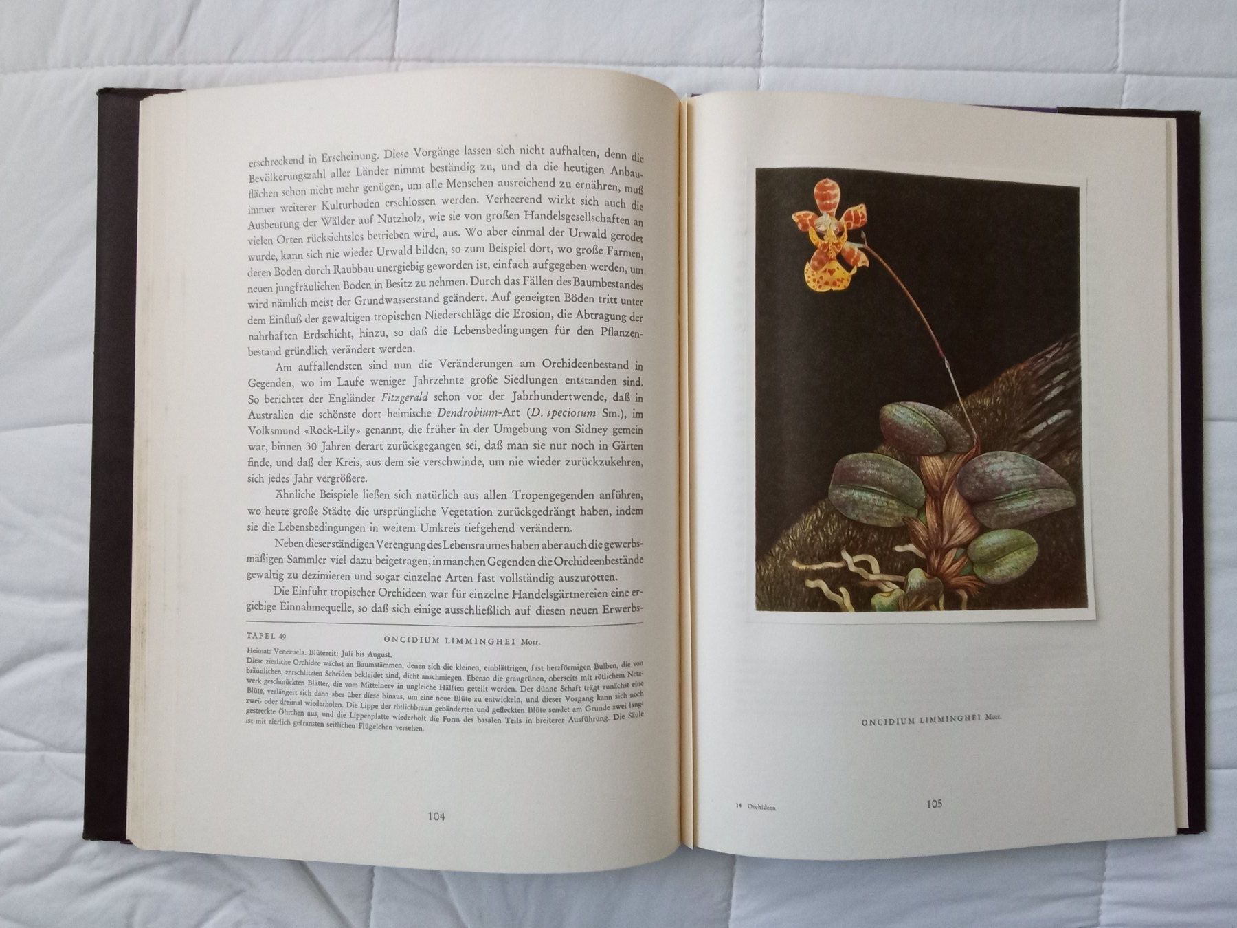 Bücher: Silva Buch Orchideen – Gebraucht aus Zürich von tol_b7c7 7