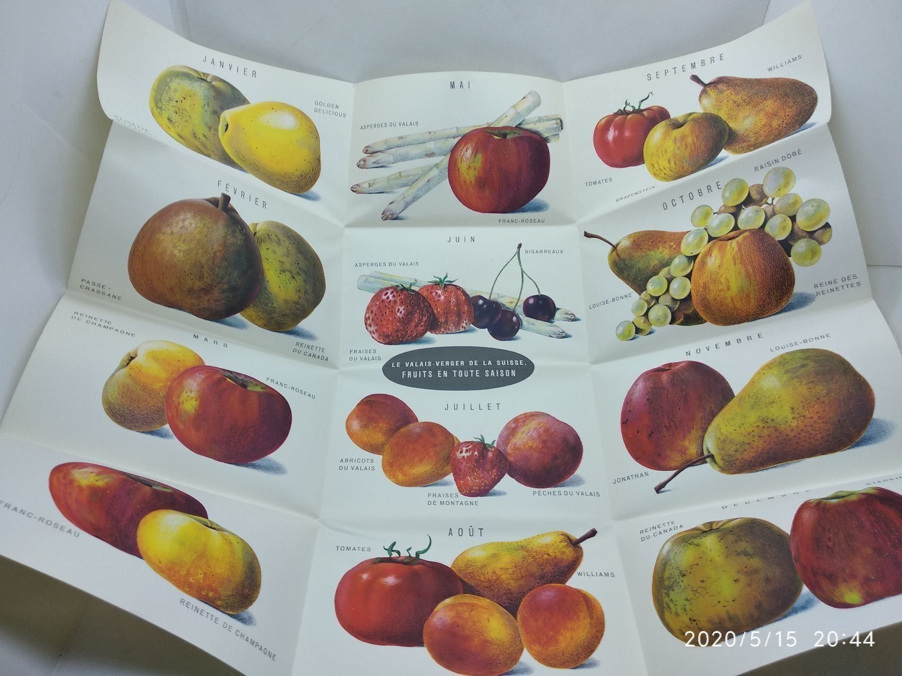 Kalender: CALENDRIER DES FRUITS – Gebraucht aus Goldach von Gaip 1