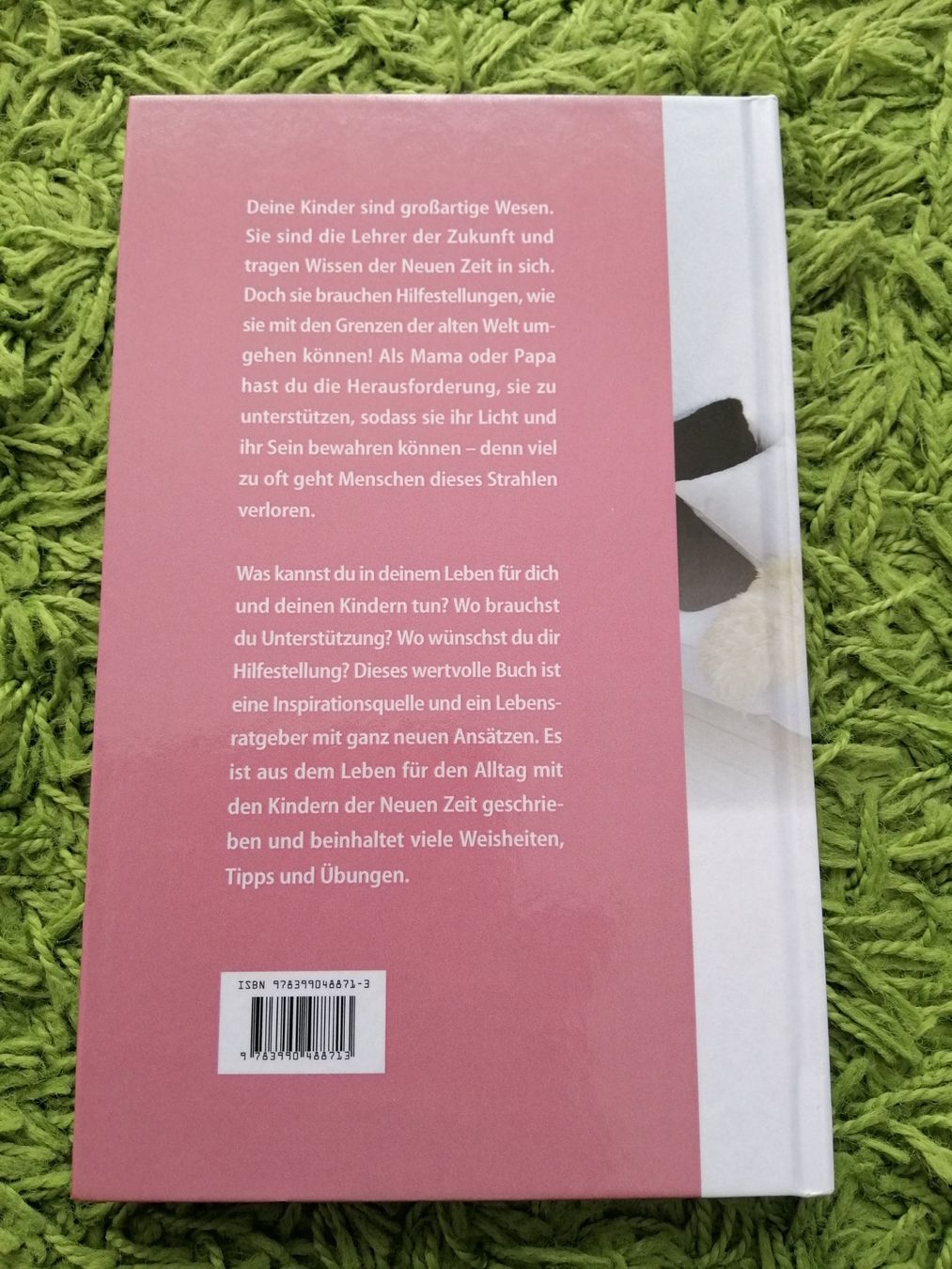 Bücher: Ratgeberbuch mit Kartenset – Neu (gemäss Beschreibung) aus Villmergen von MONCHHICHI 2