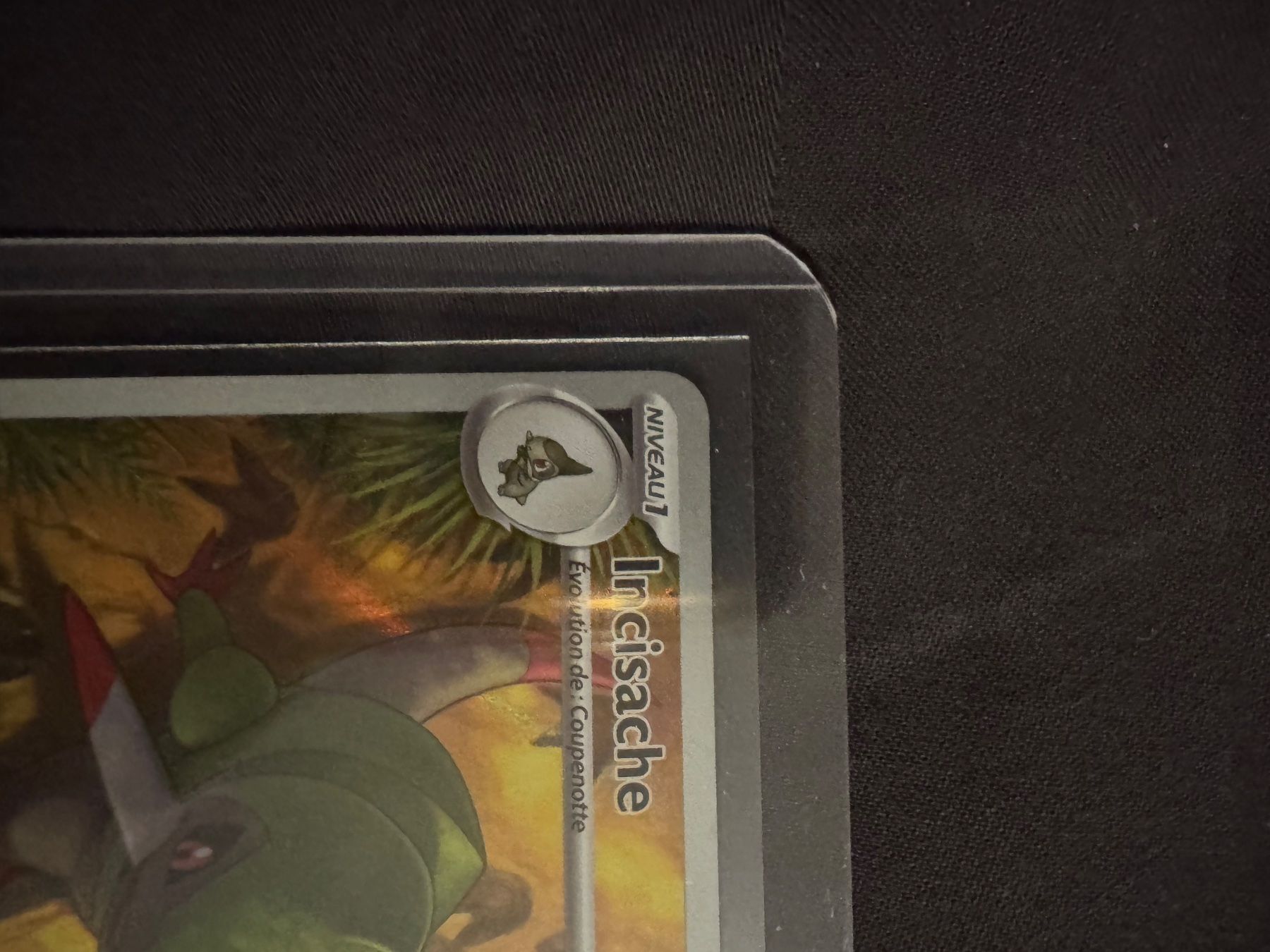 Pokémon Carte collezionabili: Carte Pokémon incisache ar fR – Nuovo e nell'imballaggio originale da Courtepin venduto da cr7_jk98 5