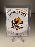 TP-41 HC Ajoie TEAM POWER SportZoo