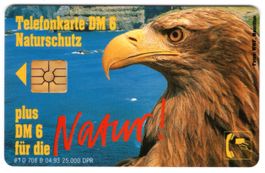 Seeadler - seltene Naturschutz Telefonkarte aus Deutschland