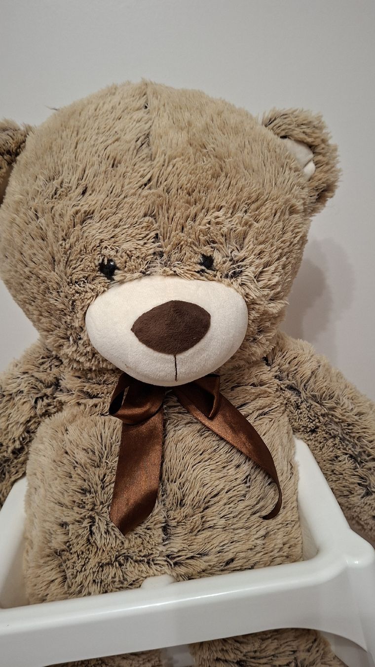 Jouets: Grosser Teddybär Plüschtier, ca.88cm  – D'occasion à Wichtrach par AirReto 1