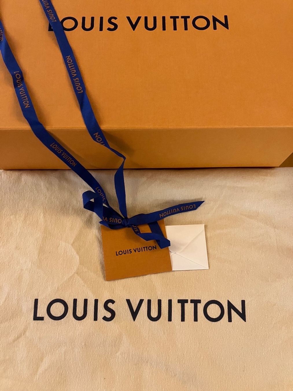 Louis Vuitton Borse da donna: Louis Vuitton Twist Tote – Nuovo (secondo la descrizione) da Zürich venduto da tacita01 9