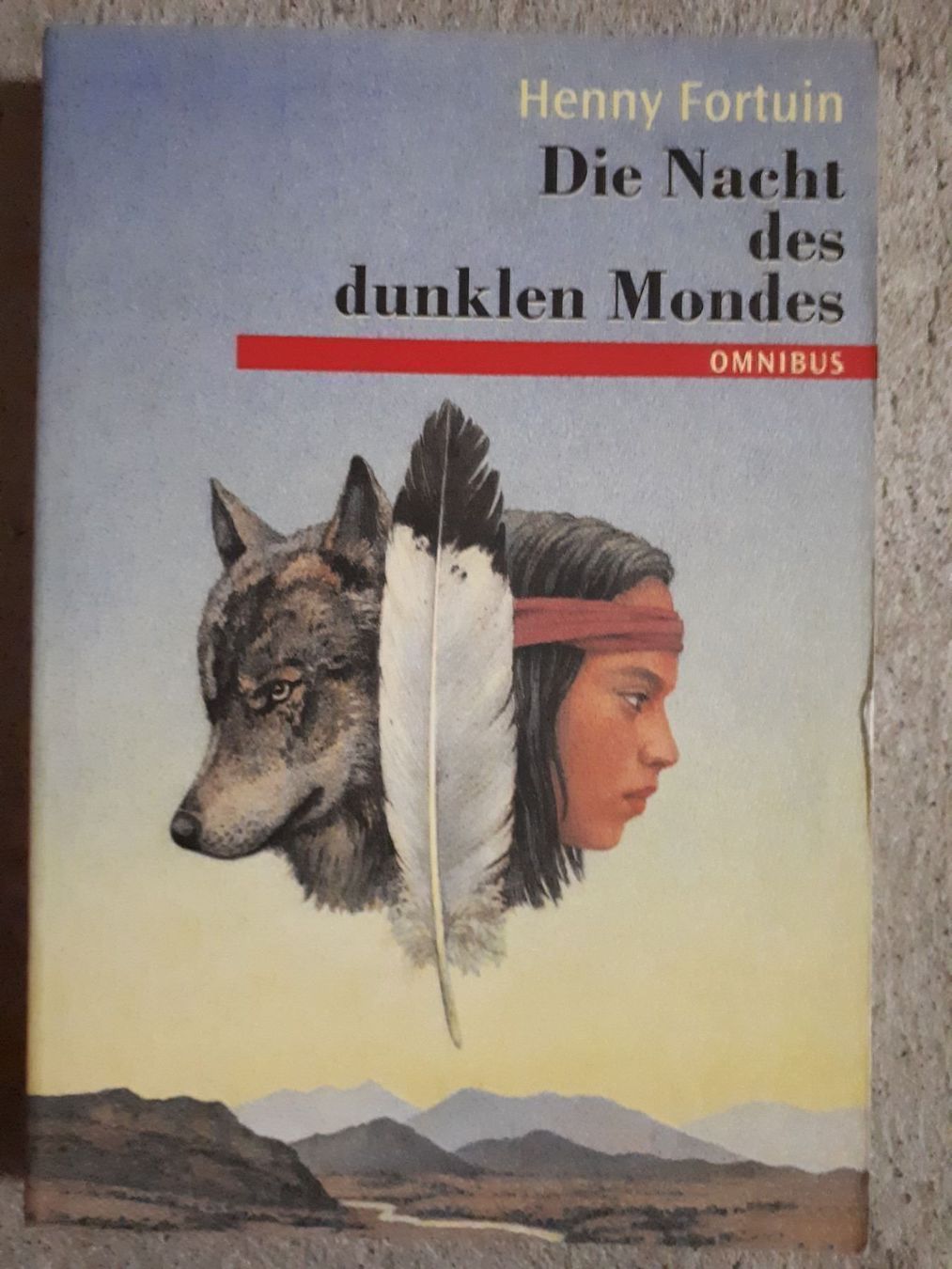 Bücher: Henny Fortuin Die Nacht des dunklen – Gebraucht aus Basel von Alacant