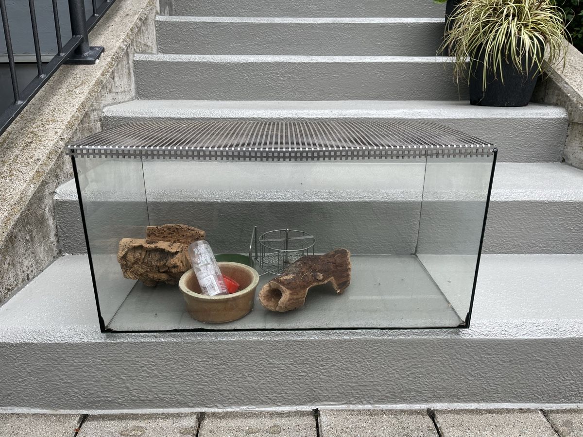 Gabbie, trasporto & Sicurezza: Hamsterkäfig – Usato da Freidorf TG venduto da ern_7s68