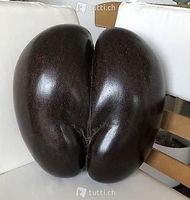 Palme Nuss Coco de Mer Hochzeit Geburtstag Valentinstag