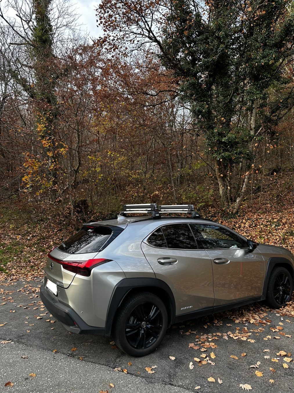 Lexus Autos: Lexus ux250h – Gebraucht aus Nyon von teo_jp5r 1