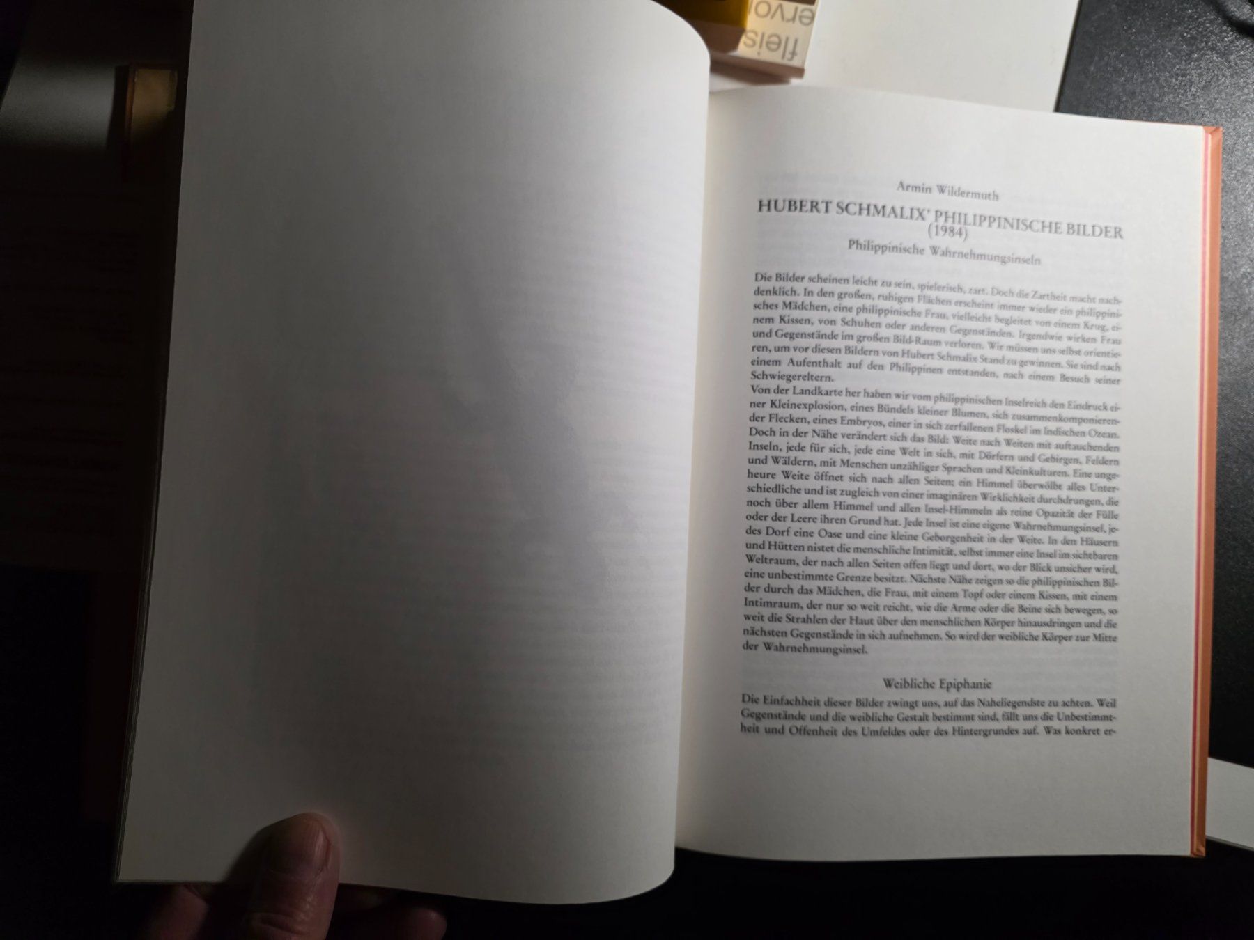 Libri: Yasmin und Iris - Hubert Schmalix - Kunst Buch 1986 – Usato da Walterswil BE venduto da Lonitti 3