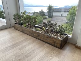 Pflanztrog aus Holz